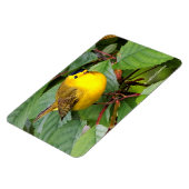 さくらんぼの木の美しいウィルソンの反り マグネット (左側)