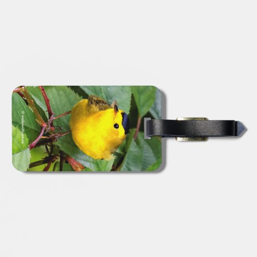 さくらんぼの木の美しいウィルソンの反り ラゲッジタグ (裏面横)