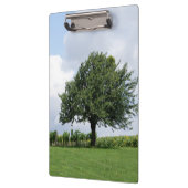 さくらんぼの木 クリップボード (左)