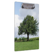 さくらんぼの木 クリップボード (右)