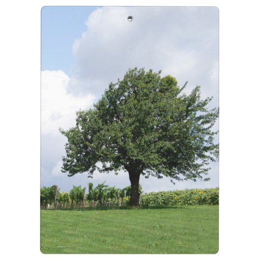 さくらんぼの木 クリップボード (裏面)