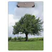 さくらんぼの木 クリップボード (正面)