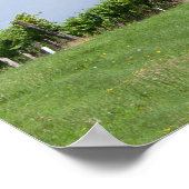 さくらんぼの木 ポスター (角)