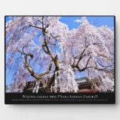 さくらんぼの枝垂れ（『奈良一番桜』） フォトプラーク (正面)