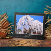 さくらんぼの枝垂れ（『奈良一番桜』） フォトプラーク (側面)