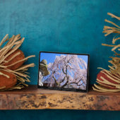 さくらんぼの枝垂れ（『奈良一番桜』） フォトプラーク (側面)