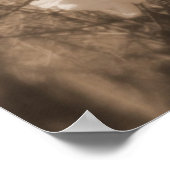 さくらんぼの空に咲くセピア ポスター (角)