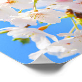 さくらんぼの花々春 ポスター (角)