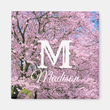 さくらんぼの花々開花