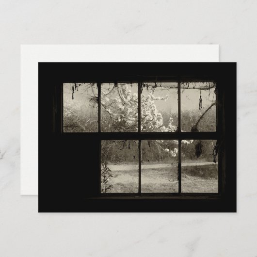 さくらんぼの花が古い納屋の窓はがき ポストカード (正面/裏面)