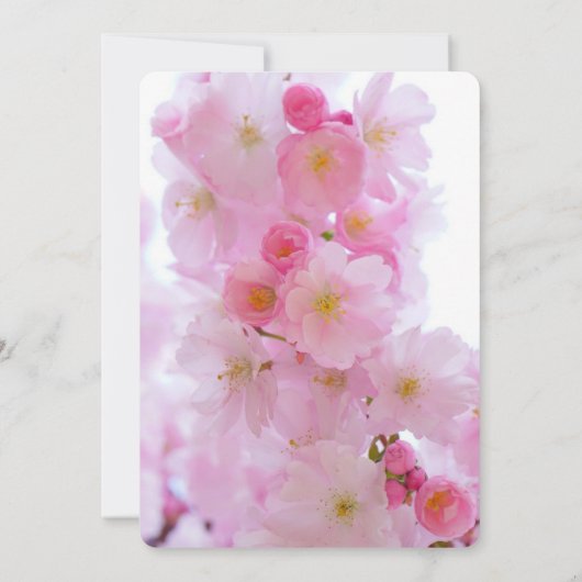 さくらんぼの花が日付を保存 招待状 (裏面)