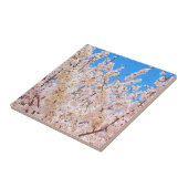 さくらんぼの花が満開の開花 タイル (側面)