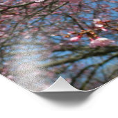 さくらんぼの花とビーピンク春の花 フォトプリント (角)