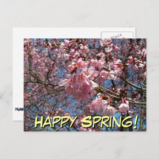 さくらんぼの花とビーピンク春の花 ポストカード (正面/裏面)