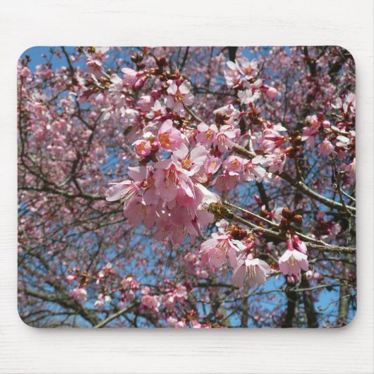 さくらんぼの花とビーピンク春の花 マウスパッド (正面)