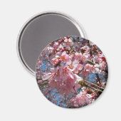 さくらんぼの花とビーピンク春の花 マグネット (正面/裏面)