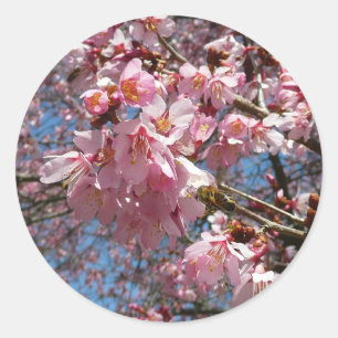 さくらんぼの花とビーピンク春の花 ラウンドシール
