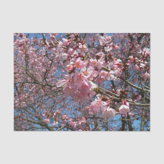 さくらんぼの花とビーピンク春の花 薄葉紙 (正面)