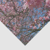さくらんぼの花とビーピンク春の花 薄葉紙 (詳細)