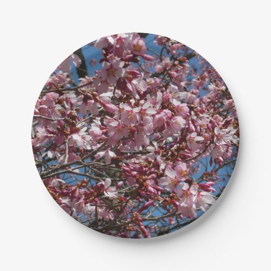 さくらんぼの花とブルースカイ春フローラ ペーパープレート (正面)