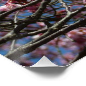 さくらんぼの花とブルースカイ春フローラ ポスター (コーナー)