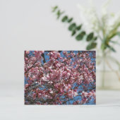 さくらんぼの花とブルースカイ春フローラ ポストカード (スタンド正面)