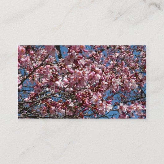 さくらんぼの花とブルースカイ春フローラ 名刺 (裏面)