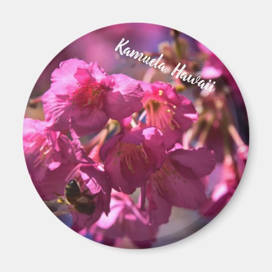 さくらんぼの花とミツバチ マグネット (正面)