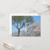 さくらんぼの花とワシントンのモニュメント カード (正面/裏面インサイチュ)