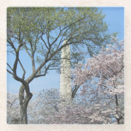 さくらんぼの花とワシントンのモニュメント ガラスコースター