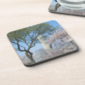 さくらんぼの花とワシントンのモニュメント コースター (左側)