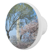 さくらんぼの花とワシントンのモニュメント セラミックノブ (右)