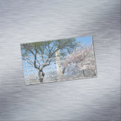 さくらんぼの花とワシントンのモニュメント マグネット名刺 (インサイチュ)