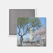 さくらんぼの花とワシントンのモニュメント マグネット (正面/裏面)
