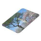 さくらんぼの花とワシントンのモニュメント マグネット (左側)