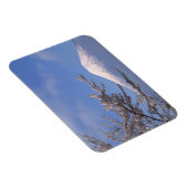 さくらんぼの花と富士山2 マグネット (右側)