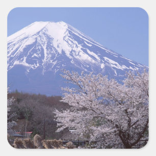 さくらんぼの花と富士山 スクエアシール