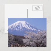 さくらんぼの花と富士山 ポストカード (正面/裏面)
