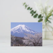 さくらんぼの花と富士山 ポストカード (スタンド正面)