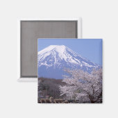 さくらんぼの花と富士山 マグネット (正面/裏面)