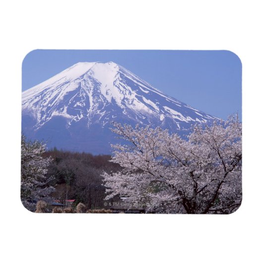 さくらんぼの花と富士山 マグネット (横)