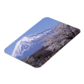 さくらんぼの花と富士山 マグネット (左側)