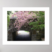 さくらんぼの花と石の橋の写真 ポスター (正面)