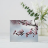 さくらんぼの花と空 ポストカード (スタンド正面)