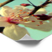 さくらんぼの花のポスター ポスター (角)