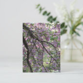 さくらんぼの花の中で鴨 ポストカード (スタンド正面)