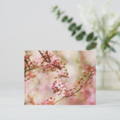 さくらんぼの花の写真 ポストカード (スタンド正面)