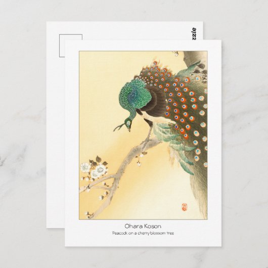 さくらんぼの花の木にクジャク – Ohara Koson + ポストカード (正面/裏面)