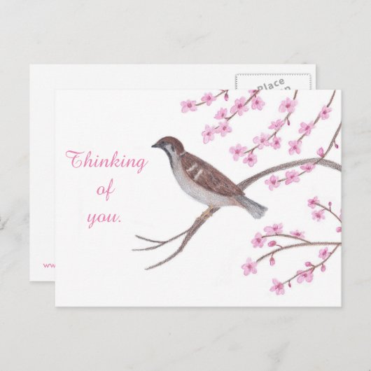 さくらんぼの花の木の考えはがきの雀 ポストカード (正面/裏面)