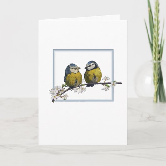 さくらんぼの花の枝の正方形の白にラブバード カード (正面)